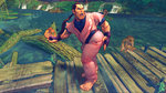 Related Images: Street Fighter IV Goes Camp News image
