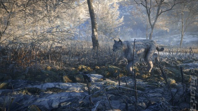theHunter: Call of the Wild 2019 Edition - PC Screen
