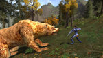 Related Images: The Perils of Bear Fighting in Lord of the Rings News image