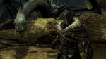 The Lord of the Rings: War in the North - PS3 Screen