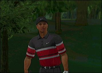 Tiger Woods PGA Tour 2004 - GameCube Screen
