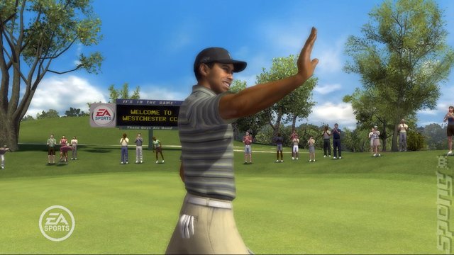 Tiger Woods PGA Tour 08 - PS2 Screen