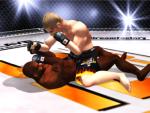 Ultimate Fighting Championship - Xbox Screen