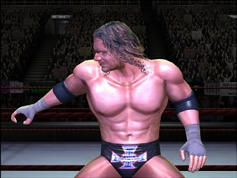 WWE: Day of Reckoning - GameCube Screen