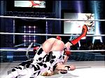 Official: Rumble Roses 80/20 percentage masturbation/gameplay split revealed! Series producer gets asaulted by women – photos! News image