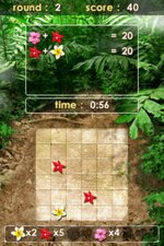 Zenses Rainforest - DS/DSi Screen