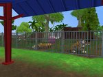 Zoo Tycoon 2: Zookeeper Collection - PC Screen